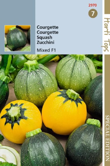 Zucchini F1 Round Mix (Cucurbita) 6 seeds HT
